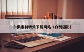 阿拉尔白鹅素材特效下载网站（白鹅摄影）